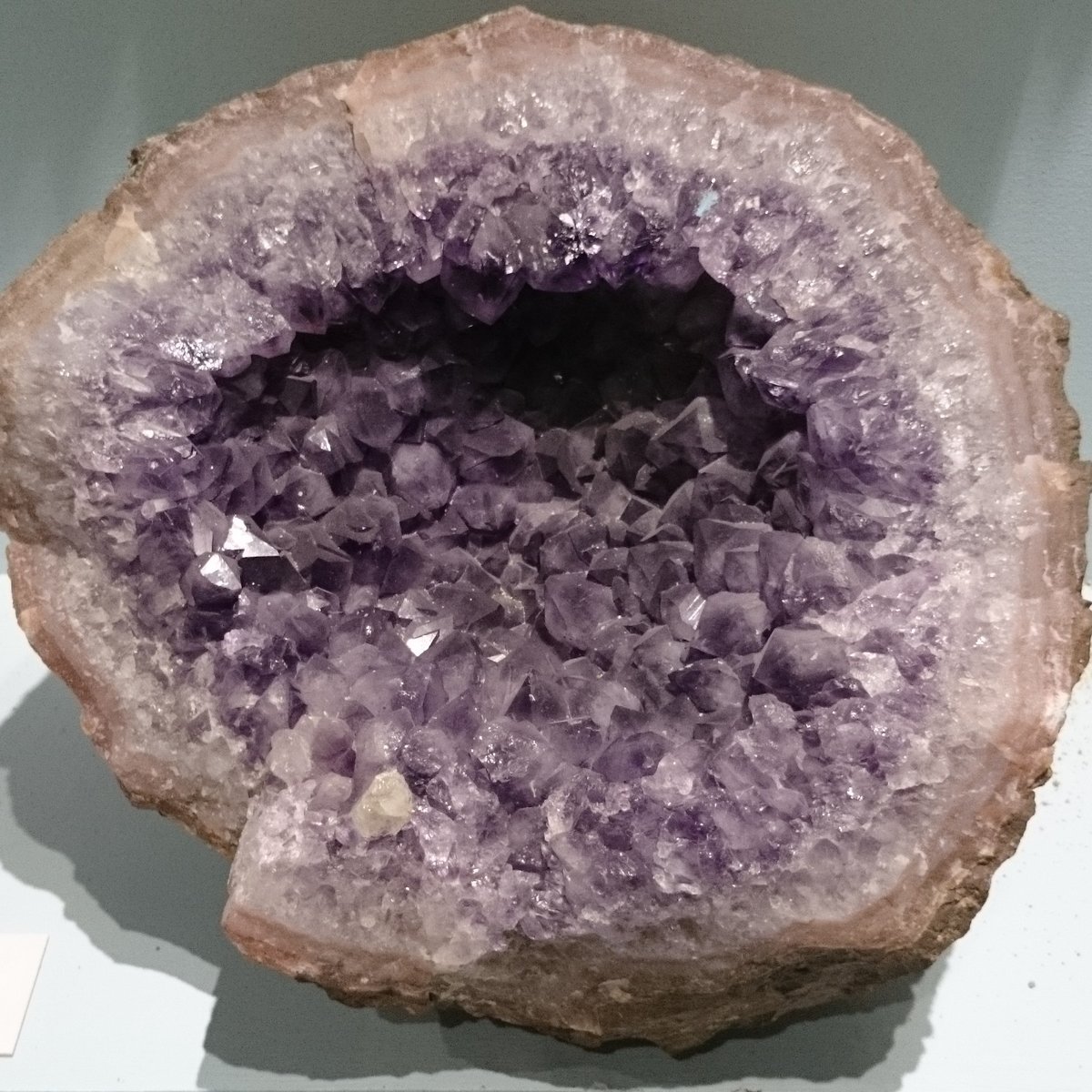 Amethyst Cluster — Large
