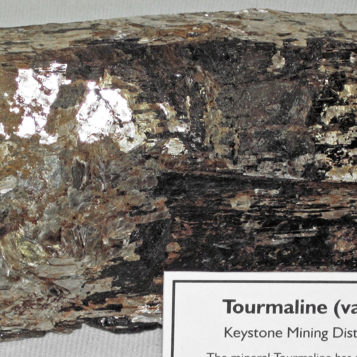 Grounding & Root Chakra Set