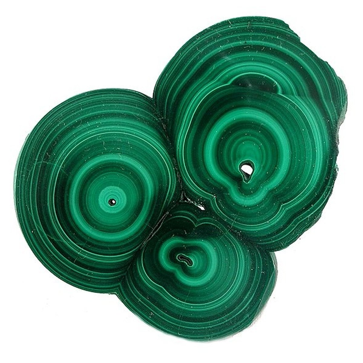 Malachite — Polished Slice