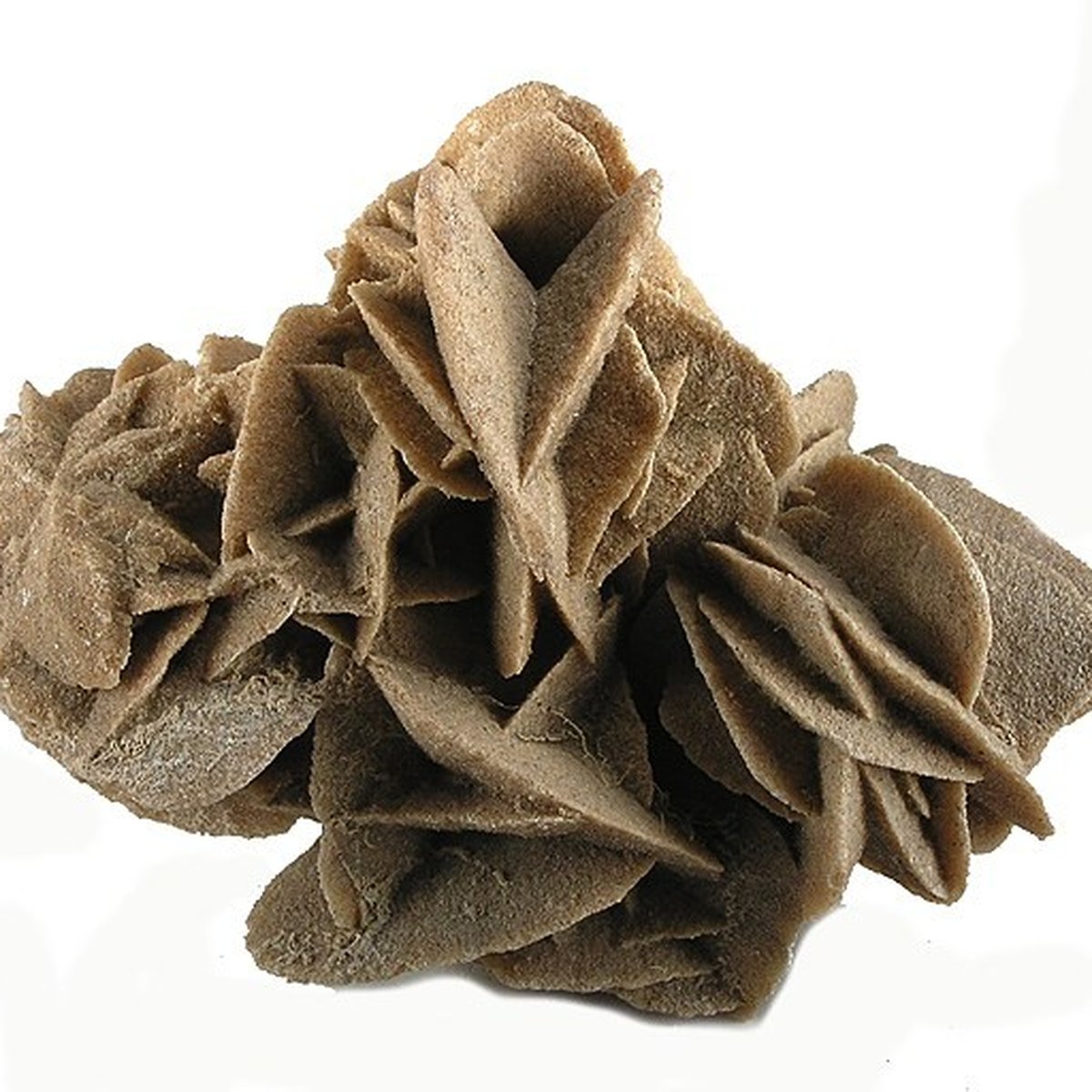 Selenite Wand — 20cm